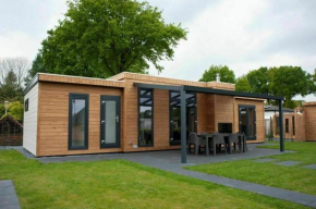 6 6 persoons Veluwe Villa met sauna en grillhuis